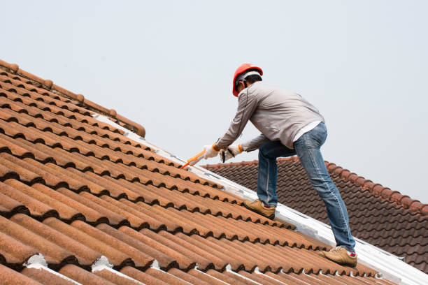 Best Skylight Installation and Repair  in Tarrant, AL